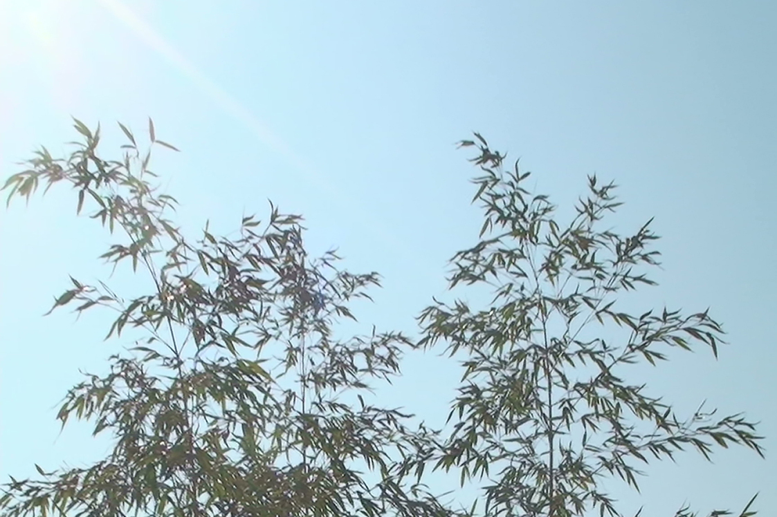 Wing Tsun Selbstverteidigung Leipzig0